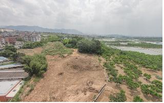 부적리 고분군 ‘긴급발굴조사’ 착수 도굴로 훼손된 고분..