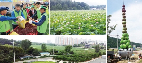 명품대추 테마공원 시작도 전 ‘삐걱’ 대추농가, “국·..