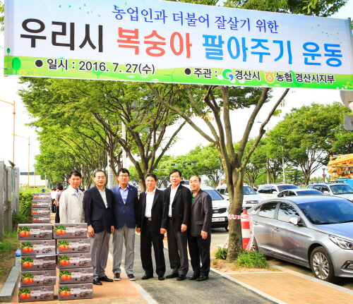 가격 하락 ‘경산복숭아’ 팔아주기 경산시·농협, 소비촉..
