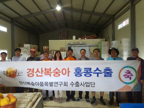 경산복숭아, 홍콩에 첫 수출 진량읍 농가, 384kg ..