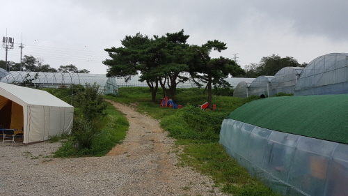 경산에 본사 ‘124억 유사수신’ 덜미 용성 ○○○영농..