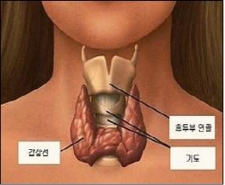 엄마와 아빠를 위한 건강 관리 [건강상식] 한국건강관리..