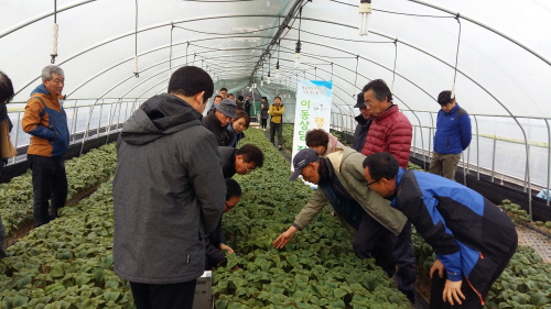 경산 깻잎재배농가 연작피해 줄인다! ‘행복농업 이동상담..