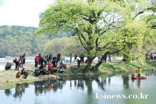 반곡지에 모인 경북 사진작가들 [포토뉴스] 한국사진작가..