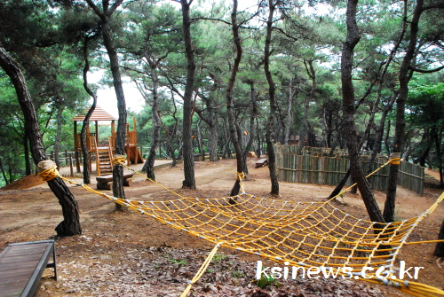 “숲과 교감하고 자연을 배운다!” 경산시, 삼성현공원 ..