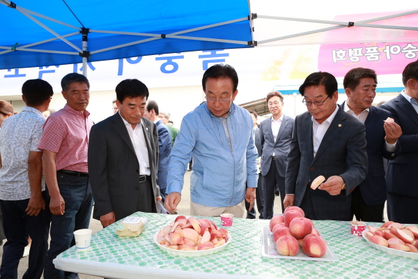 경북 최고의 복숭아 