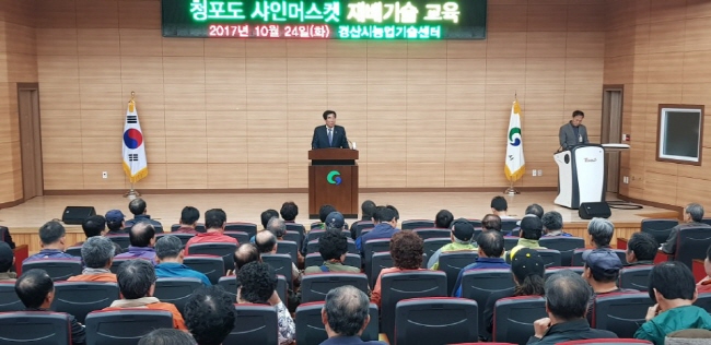 씨 없는 청포도 ‘샤인머스켓’ 뜬다!