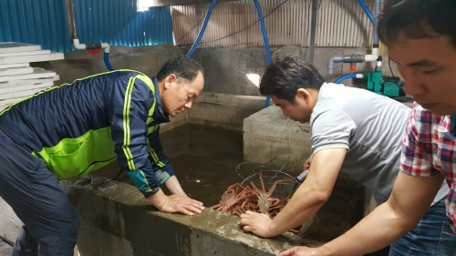 농축산물 원산지 위반으로 19명 형사처벌