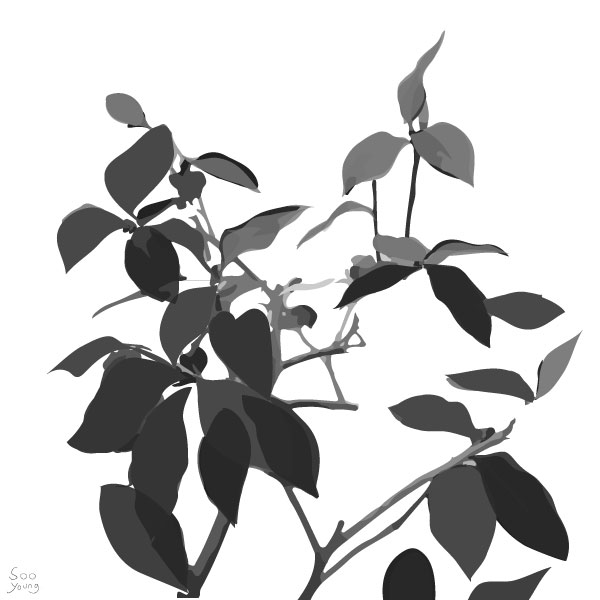 물로 쓰는 왕희지체 / 손택수