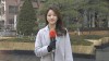 한파 주춤 ‘포근’...화~수요일 사이 비 소식