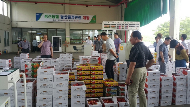 경산농협 공판장, 6일 첫 경매 