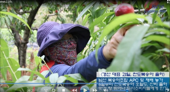 경산i뉴스 - 경산시인터넷방송국