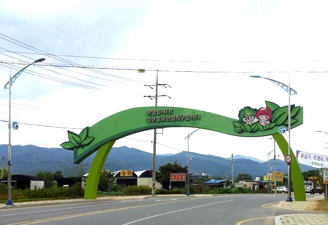경산묘목시장, 이른 봄부터 ‘활기’