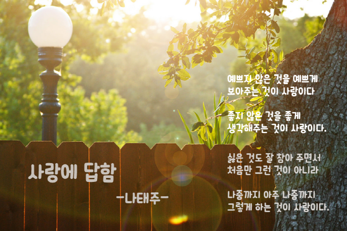 사랑에 답함 / 나태주