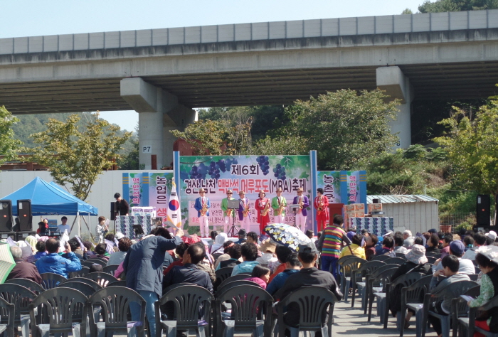 제7회 남천 맥반석 포도축제 개최!