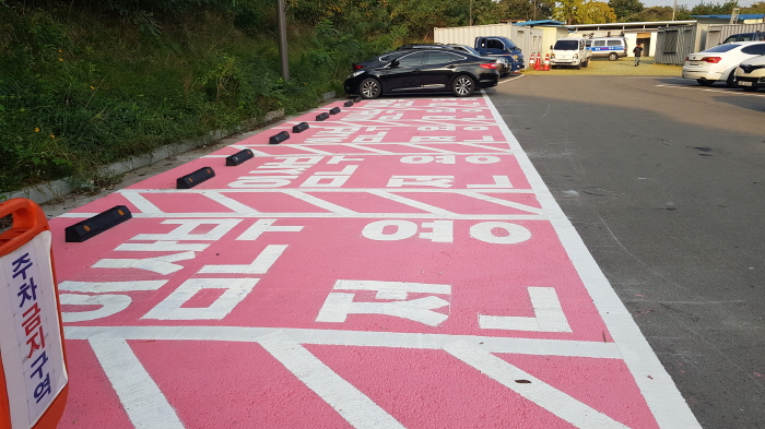 시청 주차장에 임산부 전용 주차공간 확보
