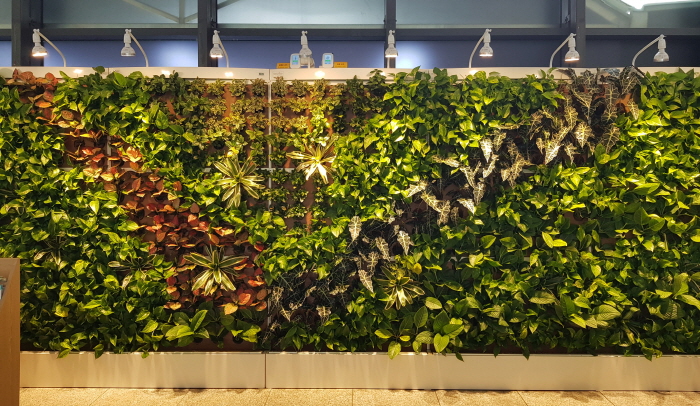 경산시보건소에 그린 오피스(Green Office) 설..