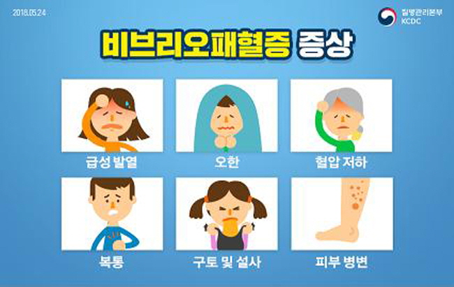 비브리오패혈증균 ‘주의 요구’