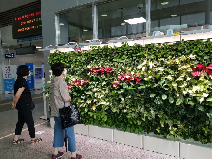 경산시, ‘자연家득’ 실내조경사업 마무리 