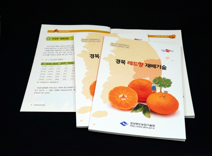 인기 감귤 ‘레드향’ 재배기술 매뉴얼 개발