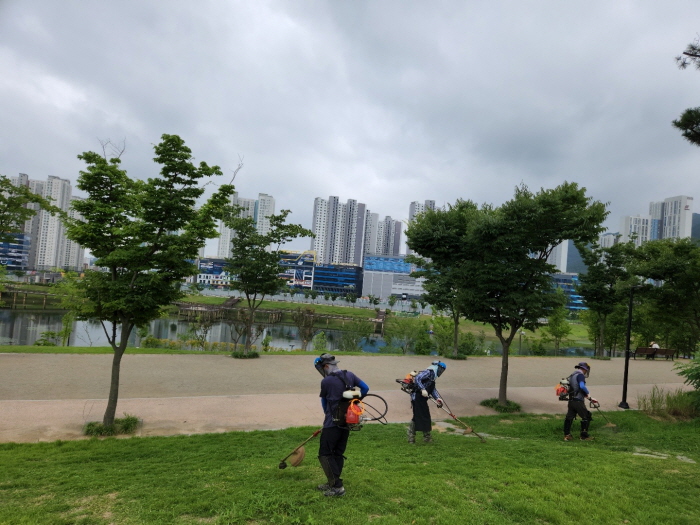 시, 휴가철 맞이 도시공원 환경정비