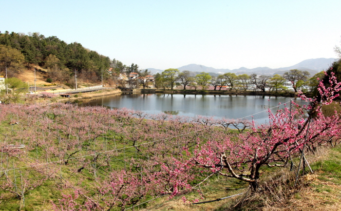 경산시 ‘소규모마을 디자인단 공모사업’ 선정