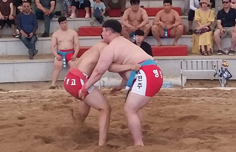 “전국 대학 씨름 최강자 가린다!”