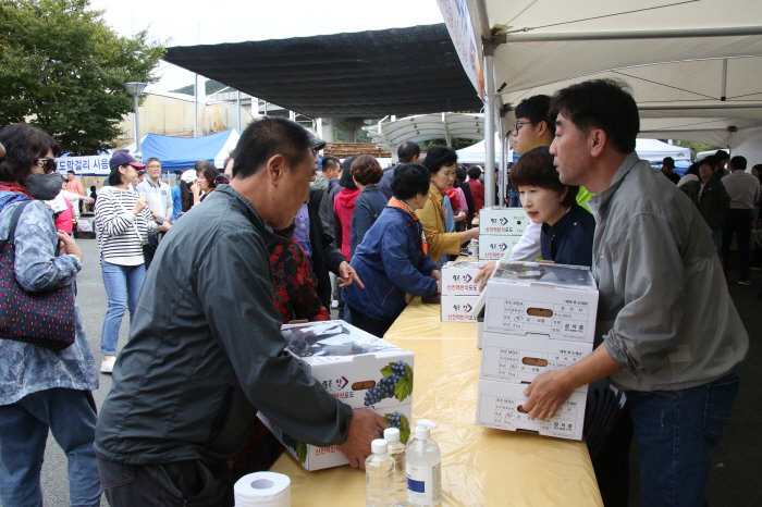 ‘경산남천맥반석포도축제’ 성황리 열려