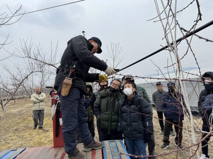 경산시, 과수 개화기 피해 예방 사전 조사