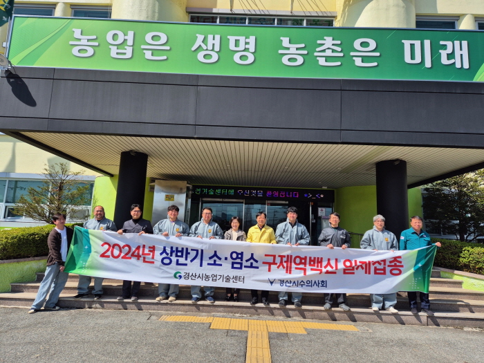 경산시 ‘상반기 구제역 일제 접종’ 실시