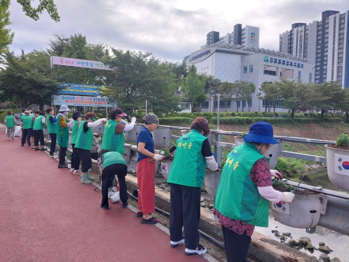 진량읍, 토산지 산책로에 국화꽃 식재