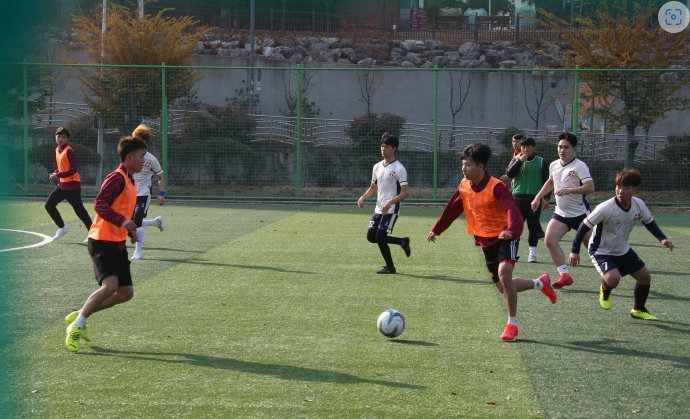 주말 경산, 생활체육대회 열기로 ‘후끈’