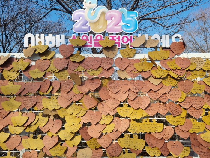 “을사년 새해 소원을 빌어보세요!”