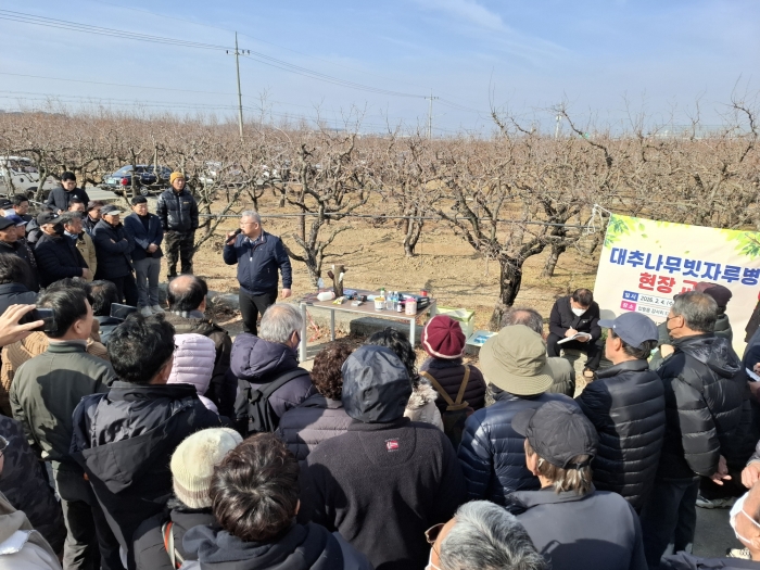 ‘대추나무빗자루병’ 공동방제가 중요!