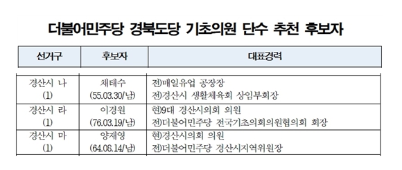 ‘나·라·마 선거구 단수’, ‘가 선거구 경선’ 
